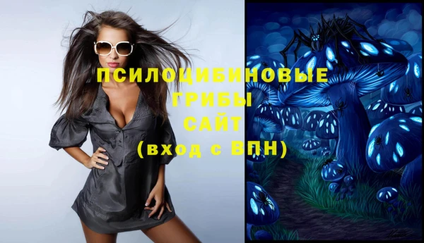 прущие грибы Белоозёрский