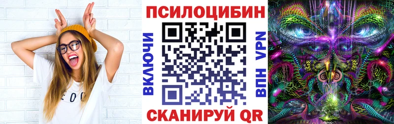 KRAKEN вход  Плёс  Псилоцибиновые грибы мухоморы 